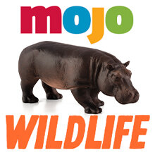 Mojo Wildlife