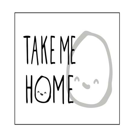 Take Me Home