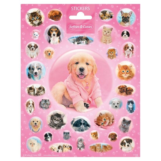 Stickervel Cutie Puppies en Kittens