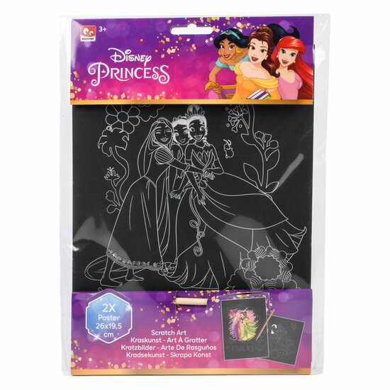 Disney Prinses Kraskunst, 2st.