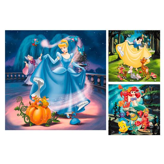 Disney Prinses, 3x49st.