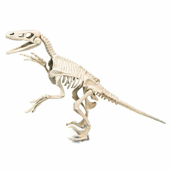 Clementoni Wetenschap &amp; Spel Archeospel - Velociraptor