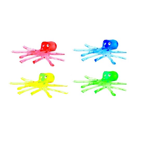 Raamkruiper Sticky Octopus