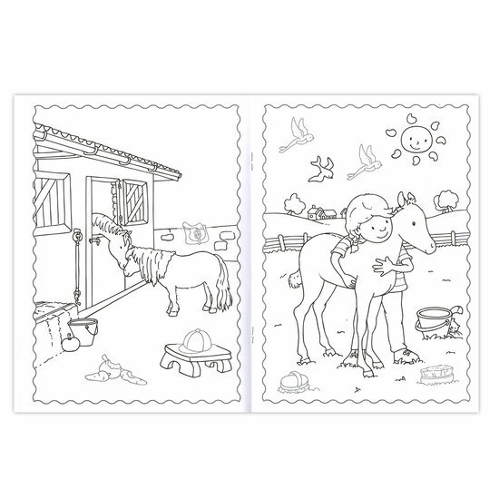 Plakken en Kleuren - De leukste Paarden en Pony&#039;s, 4-6 jaar