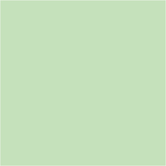 Papier Lichtgroen A4 80gr, 20st.