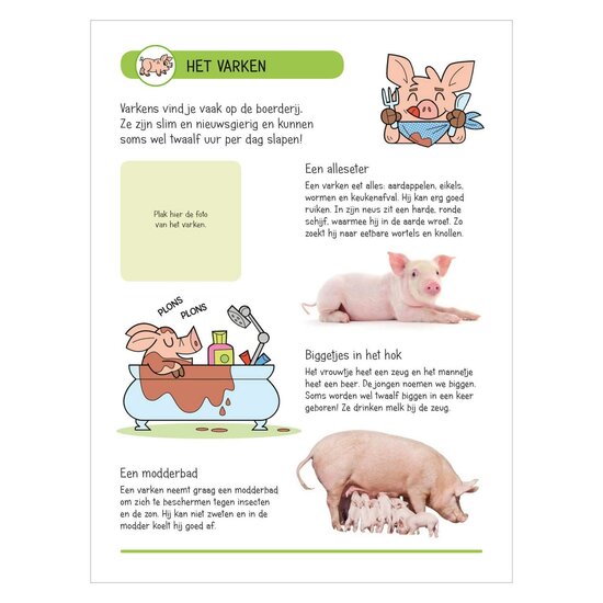 Stickerboek - Dieren op de boerderij