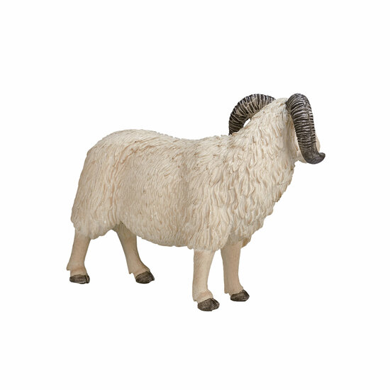 Mojo Farmland Schaap Ram - 387097