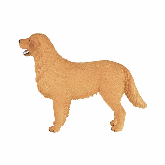 Mojo Farmland Golden Retriever - 387198