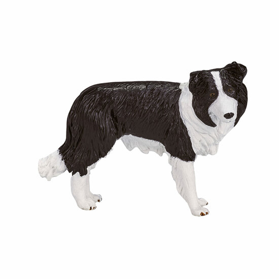 Mojo Farmland Border Collie - 387203