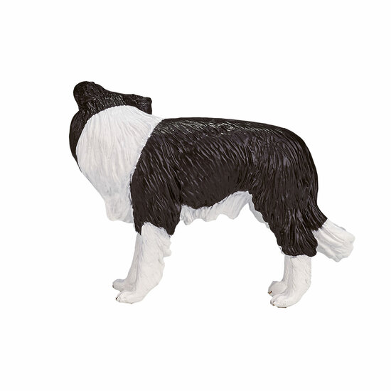 Mojo Farmland Border Collie - 387203