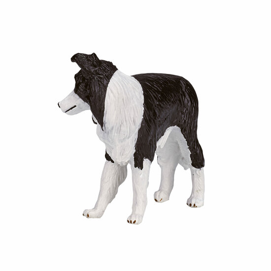 Mojo Farmland Border Collie - 387203