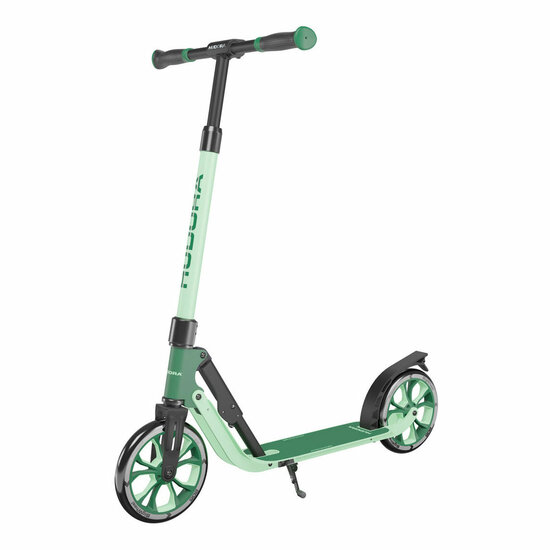 HUDORA BigWheel 205 Advanced Scooter Step - Groen