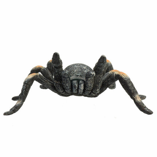 Mojo Wildlife Rode Tarantula - 387213