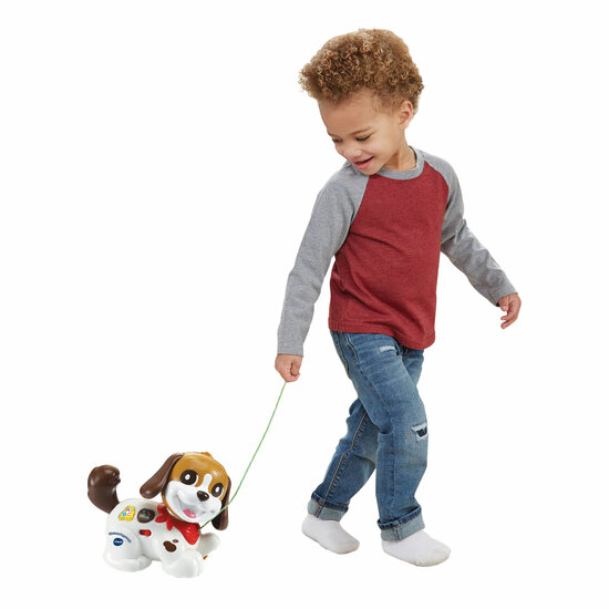 VTech Baby Mijn Eerste Puppyvriendje