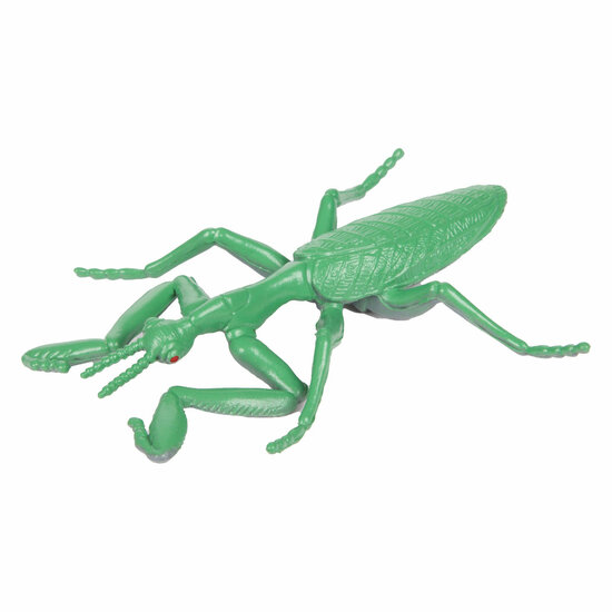 Animal World Grote Griezel Insect
