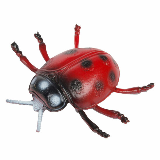 Animal World Grote Griezel Insect