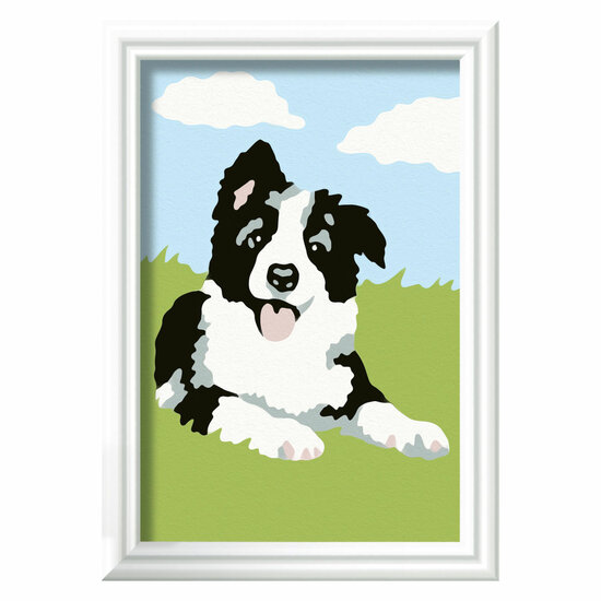 Ravensburger CreArt Schilderen op Nummer - Border Collie