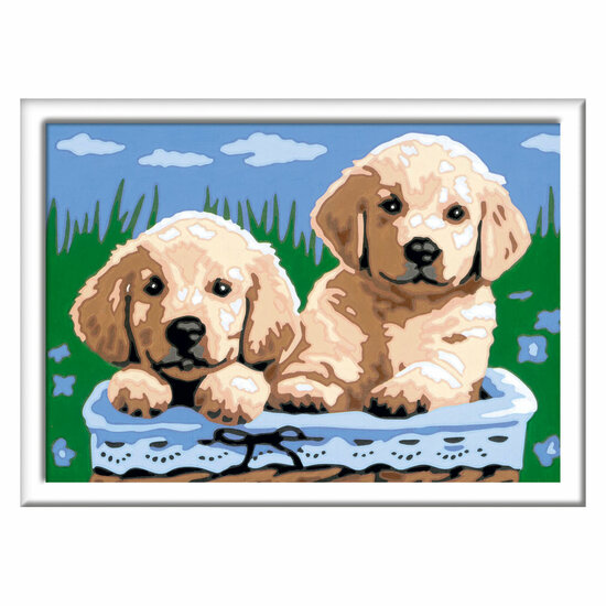 CreArt Schilderen op Nummer - Schattige Puppies