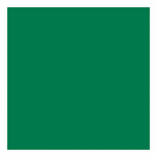 Tissuepapier Groen 10 Vellen 14 gr, 50x70cm