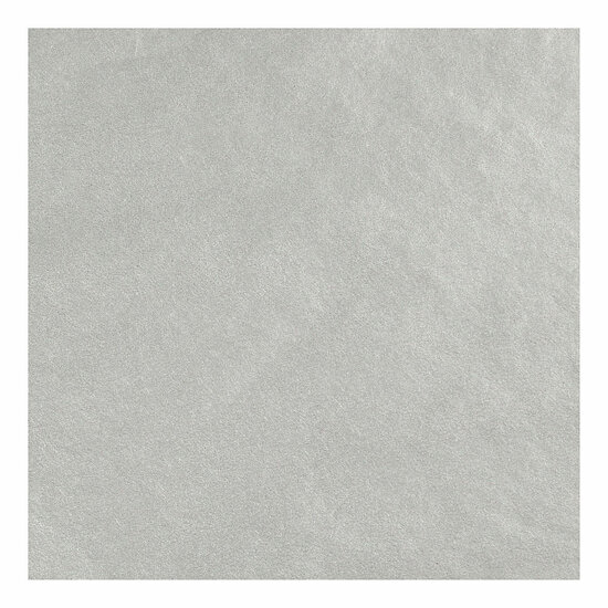 Tissuepapier Zilver 6 Vellen 14 gr, 50x70cm