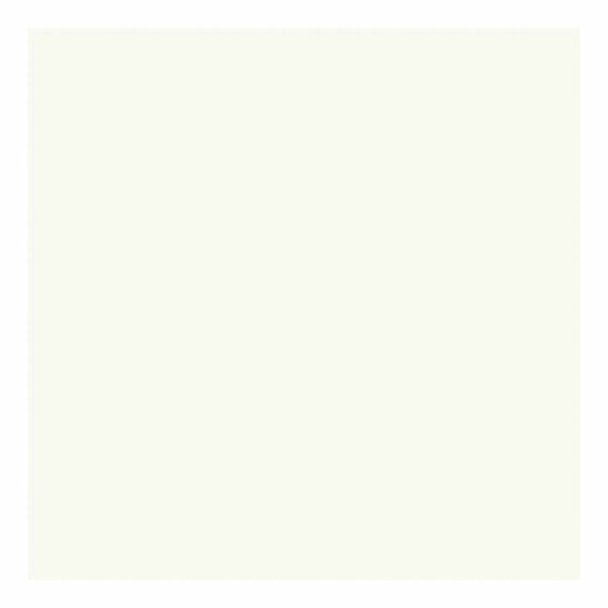 Outdoor Verf - Wit, 250ml