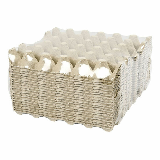 Ei Dienblad Karton 29x29cm, 20st.