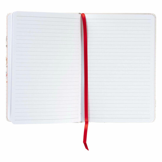 Bruynzeel Notitieboek A5 80 G/M 160 Pagina&#039;S