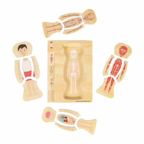 Bigjigs Houten Anatomiepuzzel - Jongen, 26st.