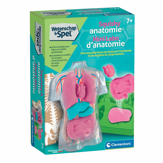 Clementoni Wetenschap &amp; Spel - Squishy Anatomie