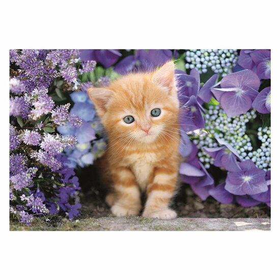 Clemetoni Legpuzzel Ginger Cat, 500st.