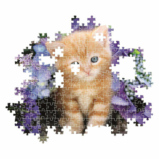 Clemetoni Legpuzzel Ginger Cat, 500st.