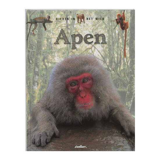 Dieren in het Wild - Apen