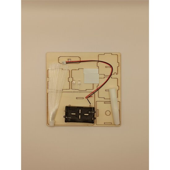 Houten bouwpakket lichtvezel