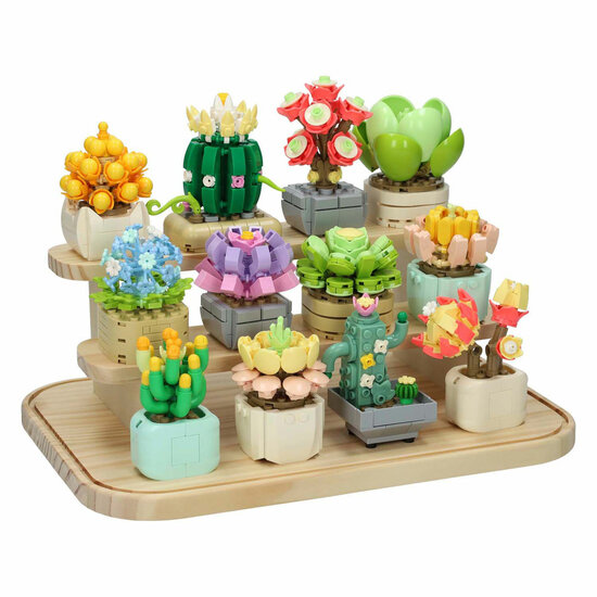 Bouwset Bloemen Etalage