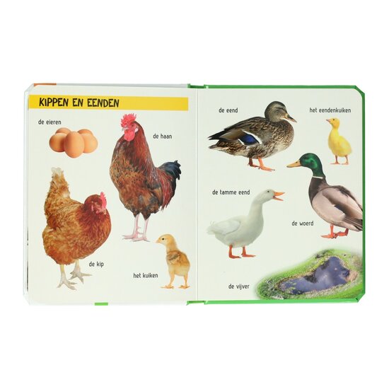 Kijk Eens Wat Zie Je Daar? De boerderij