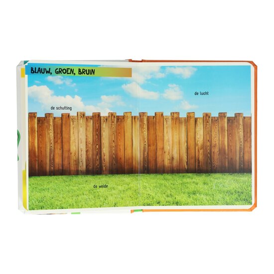 Kijk Eens Wat Zie Je Daar? Kleuren