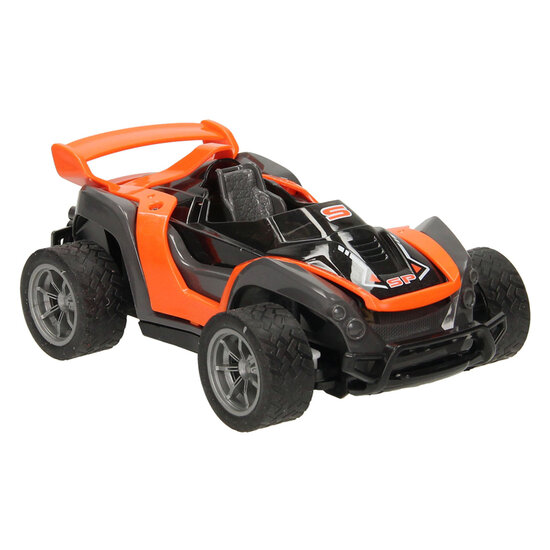 RC Bestuurbare Auto met Verwisselbare Bodies