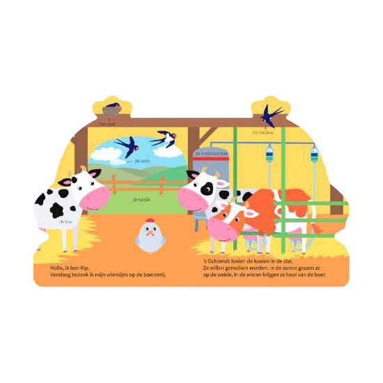 Kartonboek Op Avontuur met Kip