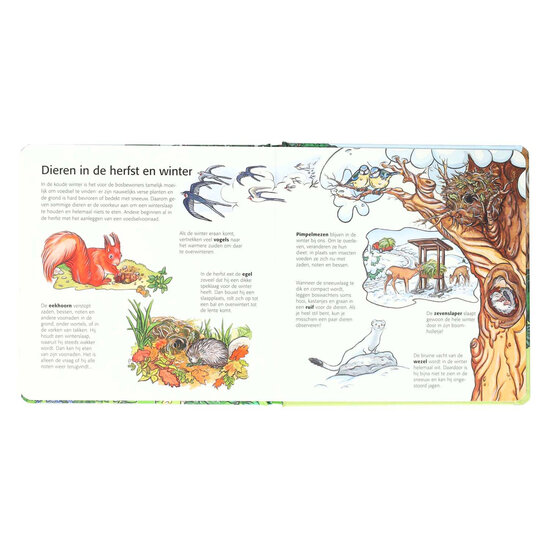 Kinderen Ontdekken het Bos