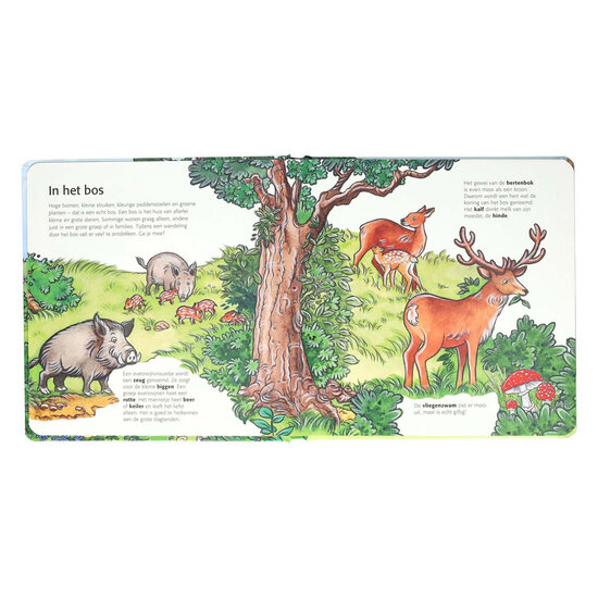 Kinderen Ontdekken het Bos