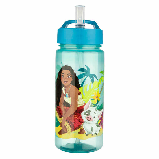 AERO Drinkfles Vaiana - 500ml