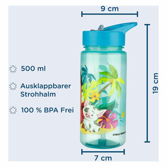 AERO Drinkfles Vaiana - 500ml