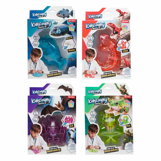 Kidscovery Slijmskelet Dier