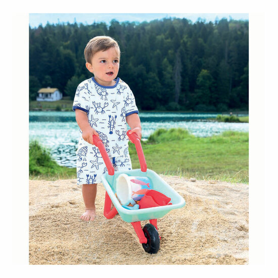 Ecoiffier Kruiwagen met Accessoires - 7dlg.