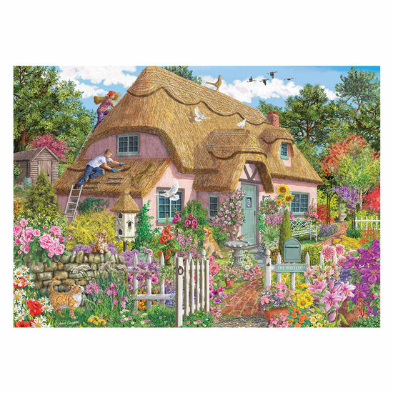 Falcon Thatched Cottage - 1000st.