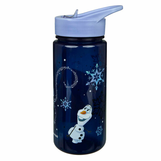 AERO Drinkfles Frozen - 500ml