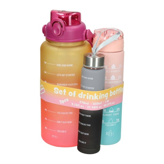 Set Drinkflessen 270ml, 650ml en 1800ml