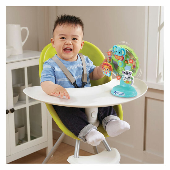 Vtech Kleintjes Grote Draaimolen