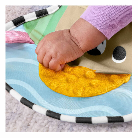 Fisher Price Sensorisch Buikkussen