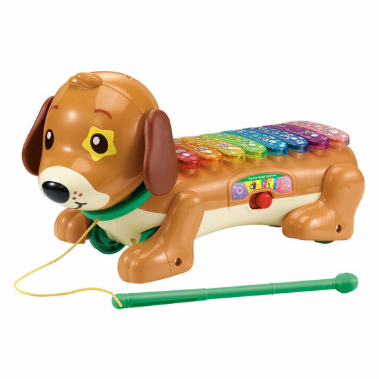 VTech Timmie Teckel Xylofoon